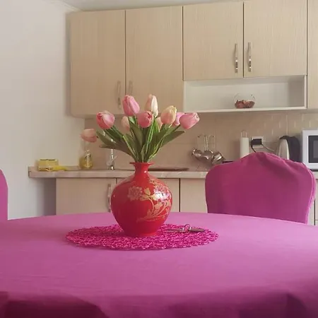 Apartment Seher Kuca *